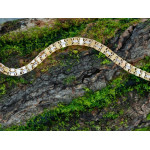 Dwukolorowa złota bransoletka 585 długość 18-19cm elegancka 14k