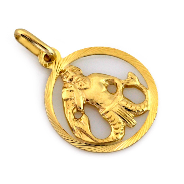 Zodiakalny złoty wisiorek 375 znak wodnika z żółtego złota dekoracyjny 9k Zodiakalny złoty wisiorek 375 znak wodnika z żółtego złota dekoracyjny 9k